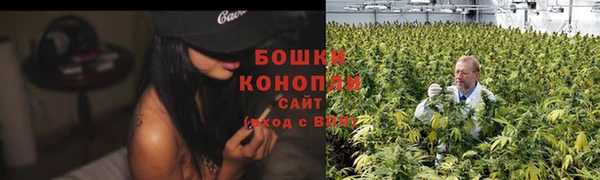 apvp Богданович