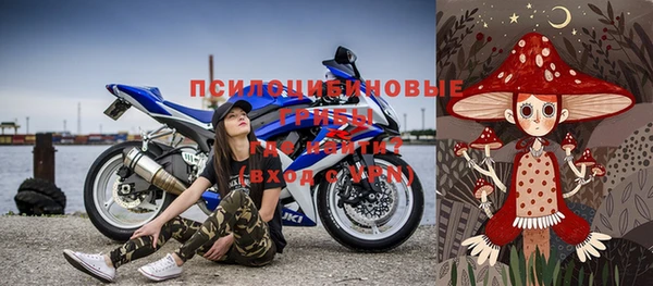 apvp Богданович