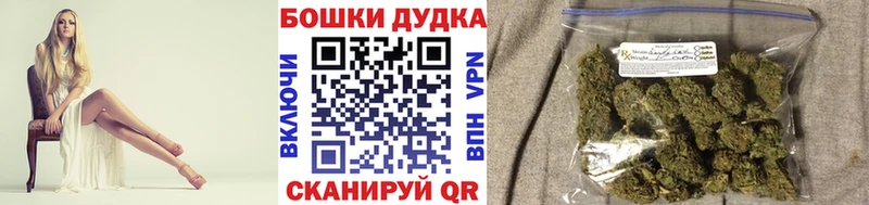 площадка состав  Оренбург  Конопля MAZAR 
